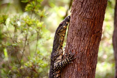 $IMG_1649.webp