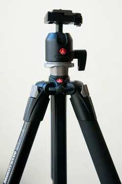 $_DSC7007.webp
