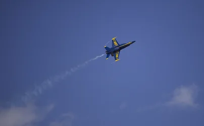 $_MG_8761.webp
