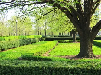 $Green garden.webp