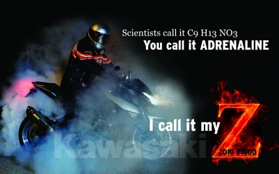 $z_ad.webp