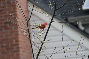$IMG_0725.webp $IMG_0725.webp