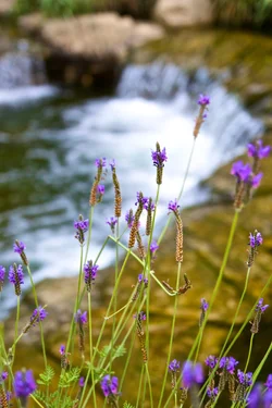 $_MG_2364.webp