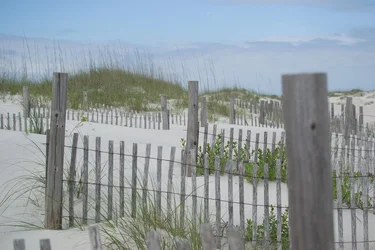 $sand_dunes.webp $sand_dunes.webp
