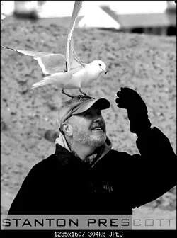 $birdman 4.webp