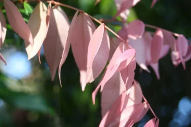 $IMG_1004.webp