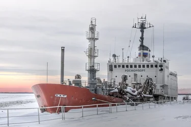 $Ship resized.webp