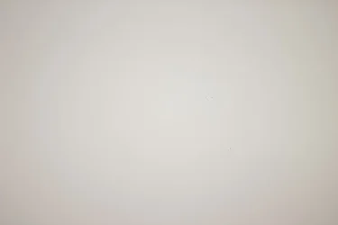 $photo_dust.webp