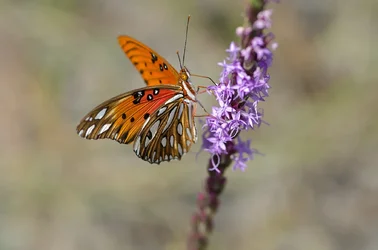 $20110917_5706.webp $20110917_5706.webp