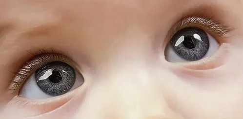 $eyes.webp