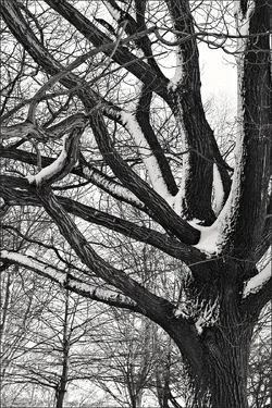 $IMG_6707-BW_web800.webp $IMG_6707-BW_web800.webp
