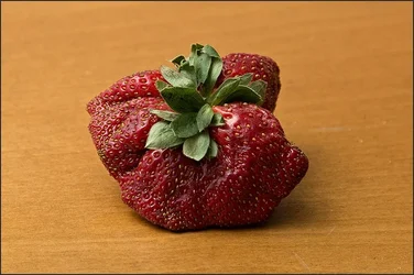 $IMG_7041_web800.webp