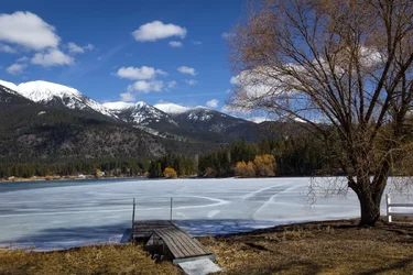 $1-TimP pond dock-001.webp