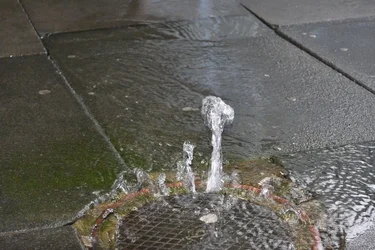 $Water Dance 1.webp