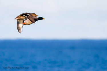 $IMG_5823-6.webp