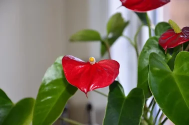 $002-3_zpsee44f321.webp