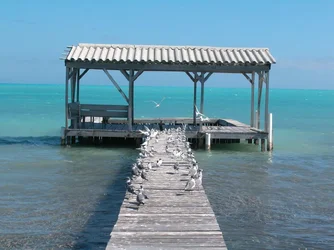 $St georges caye.webp