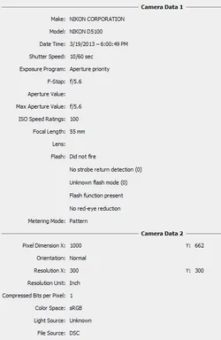 $exif01.webp