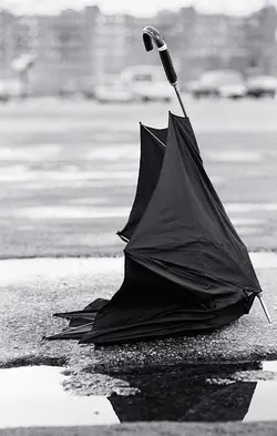 $umbrella.webp