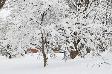 $New snow_2072.webp $New snow_2072.webp