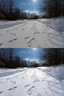 $Footprintsinthesnoweditcombined.webp $Footprintsinthesnoweditcombined.webp