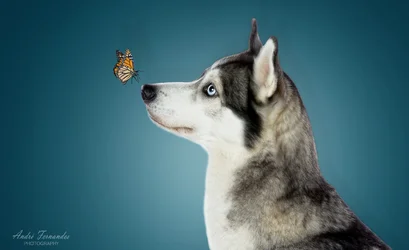 $Come-Fly-With-Me2.webp $Come-Fly-With-Me2.webp