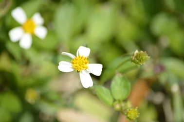 $_DSC0098.webp