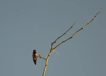 $2013-03-22 031.webp $2013-03-22 031.webp