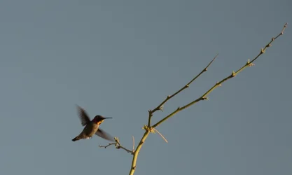 $2013-03-22 037.webp $2013-03-22 037.webp