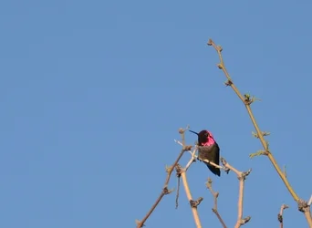$2013-03-22 050.webp $2013-03-22 050.webp