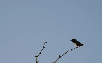 $2013-03-22 055.webp $2013-03-22 055.webp