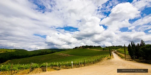 $villa-cafaggio-winery-italy-chianti-wine.webp $villa-cafaggio-winery-italy-chianti-wine.webp