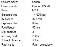 $EXIF.webp