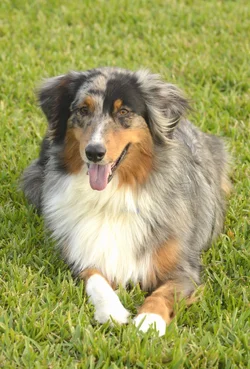 $_DSC0185.webp $_DSC0185.webp