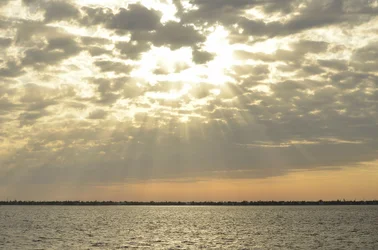 $_DSC0239.webp $_DSC0239.webp