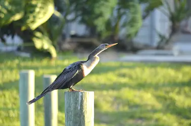 $_DSC0129.webp $_DSC0129.webp