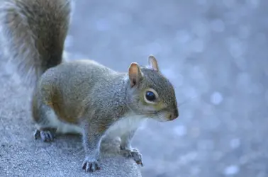 $_DSC0097.webp $_DSC0097.webp
