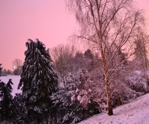 $snow glow 2.webp
