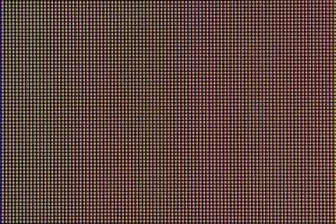 $487302_10200853480525638_1027622801_n.webp