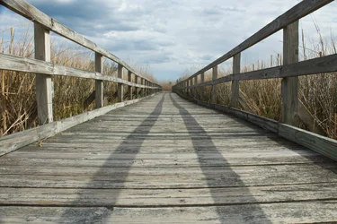 $IMG_2565.webp