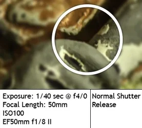 $Normal Shutter.webp