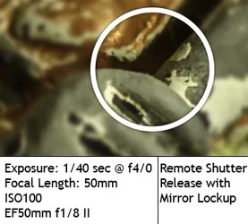 $remote with Mirror Lock.webp