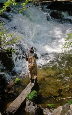 $trout 2 final fw.webp