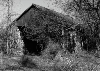 $LeftBehind-edit.webp $LeftBehind-edit.webp