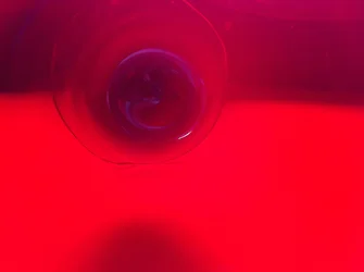 $IMG_1379 copy.webp