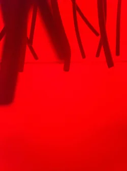 $IMG_1778_2 copy.webp