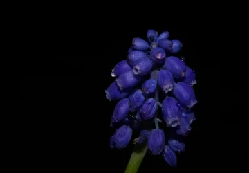 $IMG_3027.webp