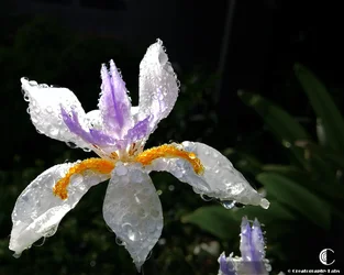 $IMG_00000333_edit.webp