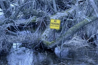 $No Trespass.webp