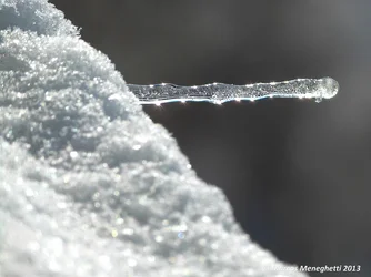 $MENEGHETTI MARCOS_horizontal_stalactite.webp $MENEGHETTI MARCOS_horizontal_stalactite.webp